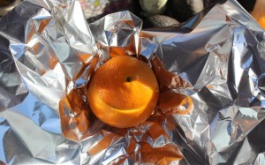 Wrap-the-Oranges