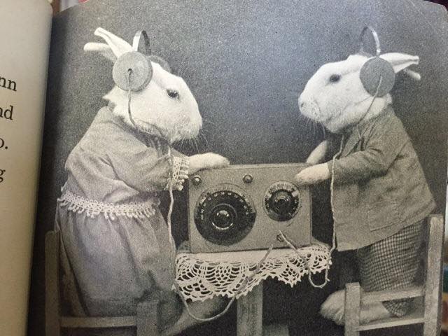 13327382_1084473894956862_7056570305518480468_n